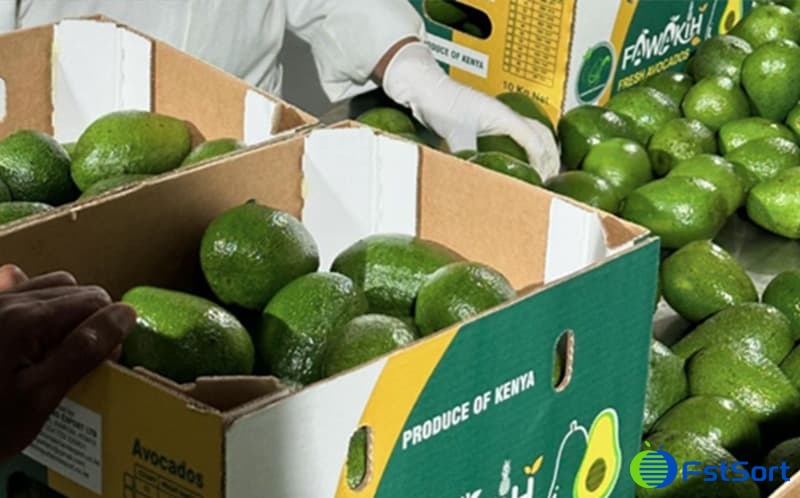 images/1713254317533aguacate peruano.jpg